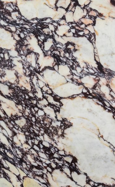 Material CALACATTA VIOLA