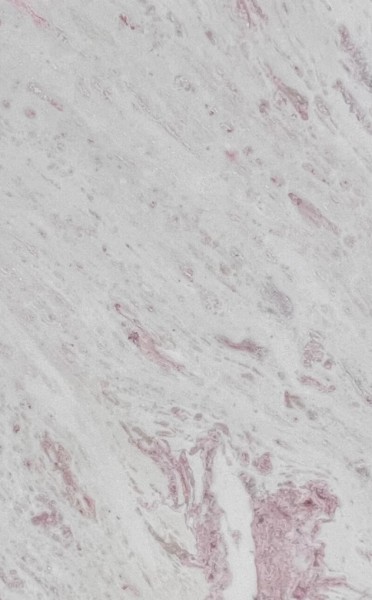 Material OYSTER PINK