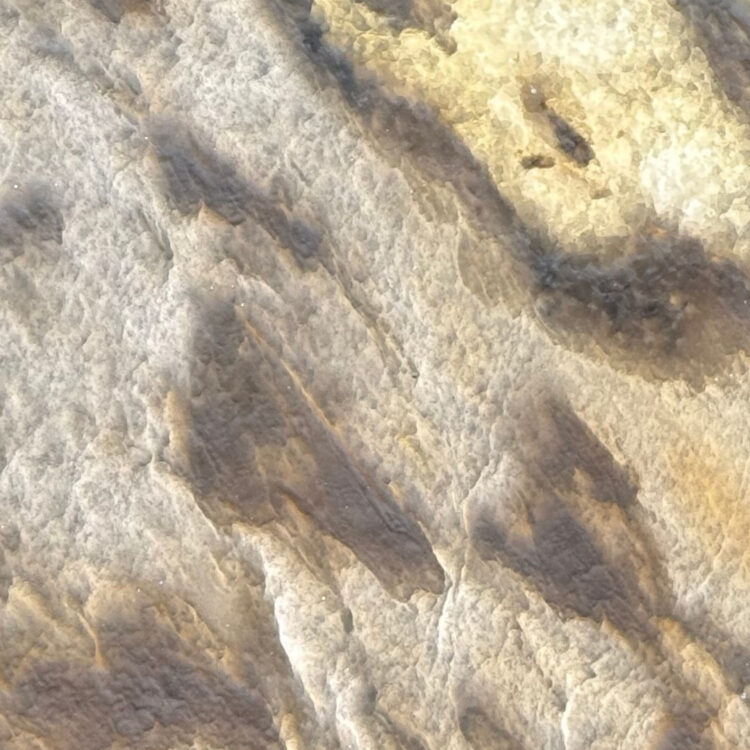 calacatta-oyster-rocked-backlit