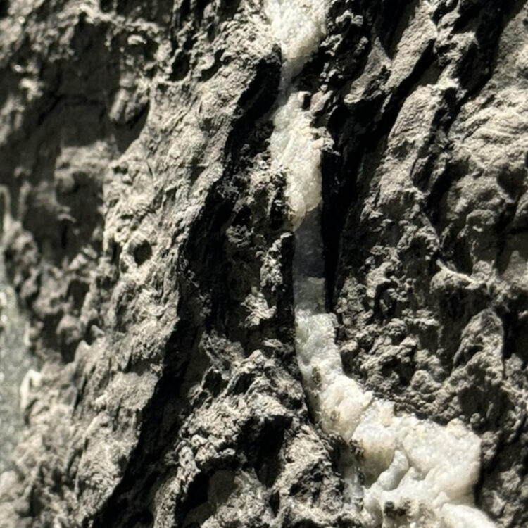 pietra grey rocked hard